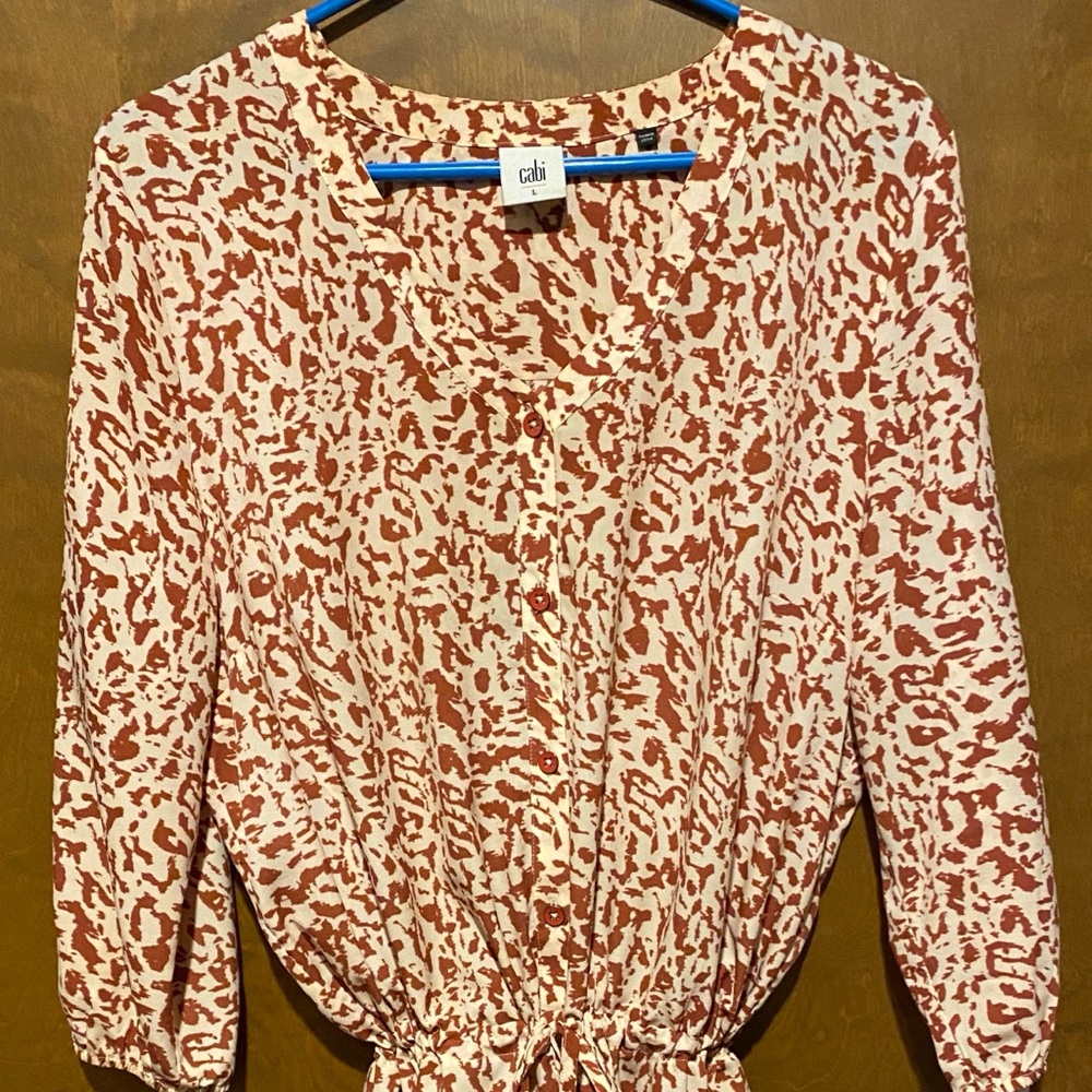 Cabi Sienna Dress